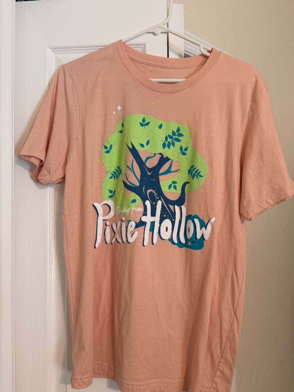 Lost Bros Disney Shirt